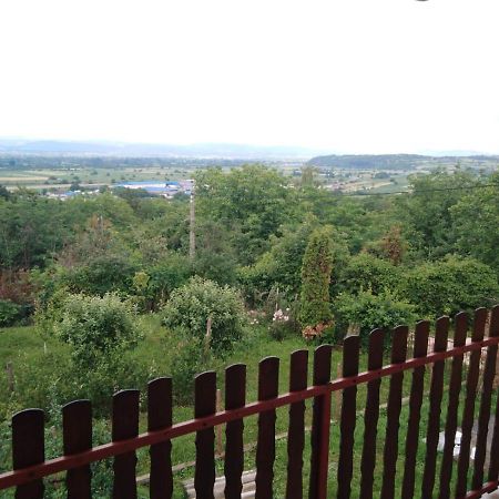 Dedinje Villa Jagodina Ngoại thất bức ảnh