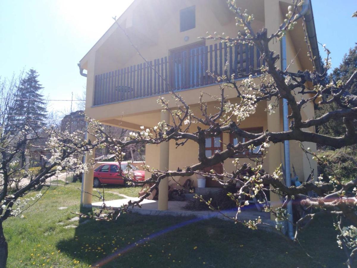 Dedinje Villa Jagodina Ngoại thất bức ảnh