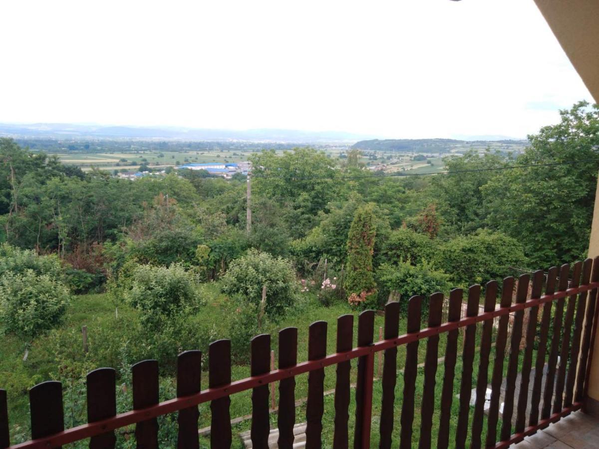 Dedinje Villa Jagodina Ngoại thất bức ảnh